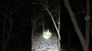 (GONE WRONG) I HAD TO RUN FOR MY LIFE FROM A MANIAC IN THE WOODS WHILE USING RANDONAUTICA 