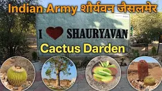 Army शौर्यवन जैसलमेर | Cactus Darden | Travel Pardesi | Day54