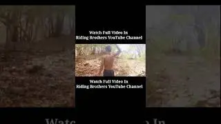 #rrr NTR tiger fight spoof #shorts #rrrntrtigerspoof #rrrvideos #rrrmovie