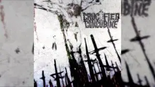 Crucified Concubine - 2-hour One-man Project (Slamming Brutal Death Metal Instrumental)