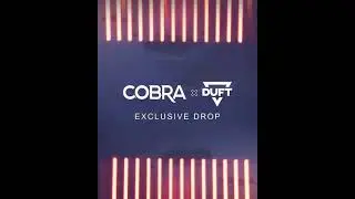 DUFT X COBRA &ndash; EXCLUSIVE DROP