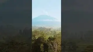 Amazing View of Paddy Fields with Mountain in the Background