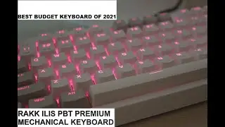The Best Budget Keyboard of 2021? RAKK ILIS PBT Mechanical Keyboard Unboxing and Review(Outemu Red)