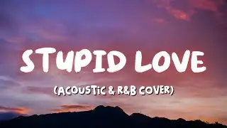 Stupid Love (Acoustic & R&B Cover)
