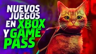 Anuncian 7 NUEVOS JUEGOS llegando a XBOX GAME PASS 🔥 Annapurna Interactive Showcase y Stray