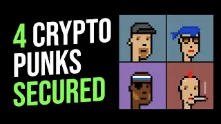 3D Franken Punks Bought 4 CryptoPunks! Roadmap 2.0 Soon? 3DFP News / Updates