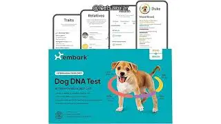 Embark Breed & Health Kit Review: Is This Dog DNA Test Worth the Investment?