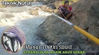 mancing nilem teknik nutul arus deras !! umpan turun langsung makan