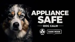 Vacuum Cleaner Anxiety Music for Dogs | Stop Barking Support | 60 Min (No Sudden Sounds)