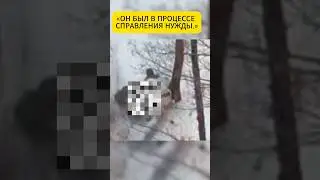 &laquo;Несколько секунд невнимательности &mdash; внезапный удар дрона по российскому солдату&raquo; ⭐