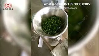 Green Chilli Processing Plant Green Chili Sauce Manufacturing Process
