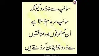 Happiness and Good Luck | Golden Words | Islamic Quotes | Urdu Quotes with Images | Life Quotes |