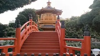 Strolling around Nan Lian Garden Beautiful Scenery and Landscapes #diamondhill