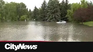 Some Calgarians frustrated following rainstorm flooding in Confederation Park