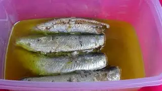 COMO FAZER SARDINHA EM LATA EM CASA
