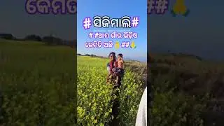 ##ଆମ ସିଜିମାଲି, ତିଜମାଲି  ଗାଁର Shorts Video କେମିତି ଅଛି##🙏🙏🙏👌👌#short