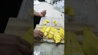 mangoes #snackboxideas #fruitsnack #fruitsnacks #fruitsnackchallenge #schoollife#schoolsnacks #food