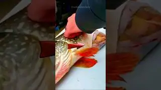 Strange Thing Inside This Fish Belly? 🐟🤔