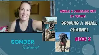 Single & Childless Not By Choice: Growing My Channel WK 2, Gavin & the beach, & Chiefs kicker.