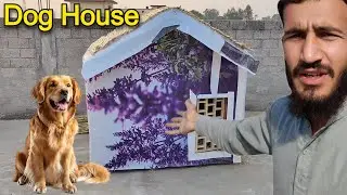 DIY dog 🐕 House 🏠 pigeons 🕊️ and chickens 🐔