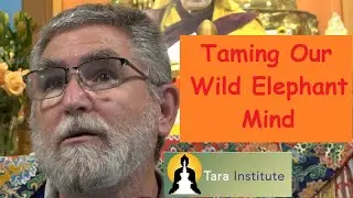 Taming our wild Elephant mind Introduction to Meditation Monday class by Denis at Tara Institute
