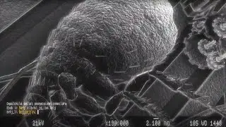 ASD  - Size Antimatters