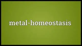 Metal homeostasis Meaning