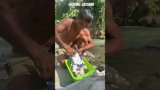Traditional way of grating cassava #food #satisfying #traditionalmethods #cassavacake