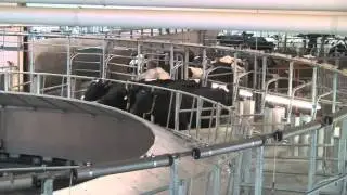 Besuch auf dem Meuteshof