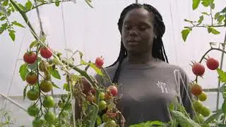 Green Corps Urban Farms Build Bridges in Cleveland Neighborhoods