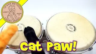 Cat Paws - Feel The Furry, Wicked Cool Toys