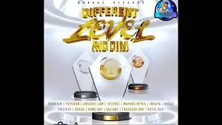 Different Level Riddim Mix