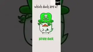 What duck are u?