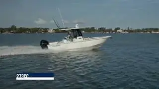 Everglades 273cc