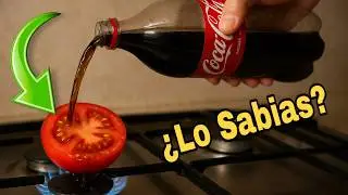 Nunca imagine que el Tomate con Coca-Cola hiciera esto | Te Sorprender&aacute;