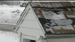 Animal Charity says pets left out in cold will be confiscated