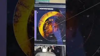 Locating crappie with Humminbird Mega 360.