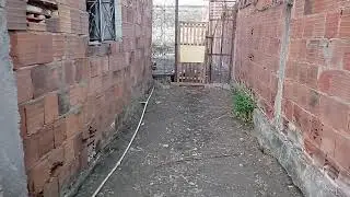 granja ROBVAL primeira eclos&atilde;o dos ovos