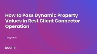 How to Pass Dynamic Property Values in Rest Client connector Operation