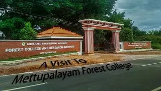 A Visit To Mettupalayam Forest College !!!