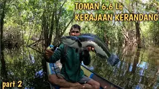 Perahu Hampir KARAM di Tarik Ikan toman!! Casting di Kerajaan ikan Kerandang