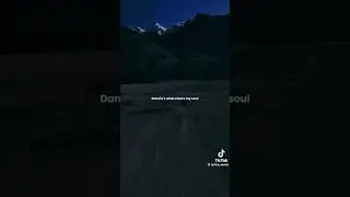 Dancing with the Moonlight