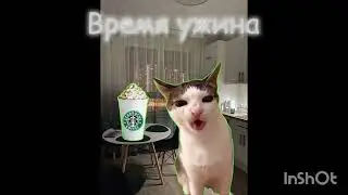 Пов:мой обычный день