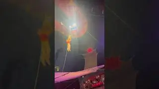 Amazing Aerial Spectacle! Fantastic Trapeze Performance! #circus