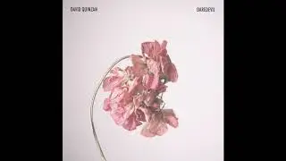 David Quinz&aacute;n - 