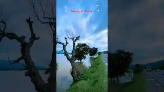 Beauty of Assam // #assam #rain #nature #flood #2024shorts