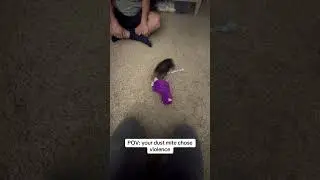 @chapoofficial: POV: your dust mite chose violence over a toy twice his size 😭💀 #dog #doglover