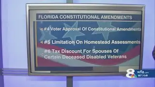 Battleground Florida: Breaking down constitutional amendments 4-6