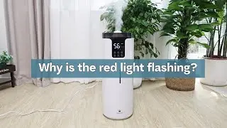 Why is the red light flashing?