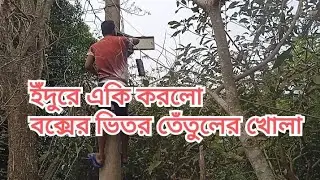 কিভাবে ডিস লাইনের কাজ করতে হয় //আমরা ডিস ও নেট লাইনের কাজ করে থাকি//how to electrical job //#funny